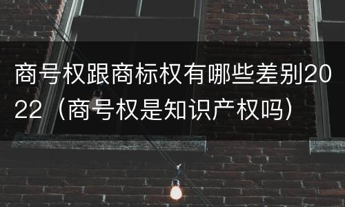 商号权跟商标权有哪些差别2022（商号权是知识产权吗）