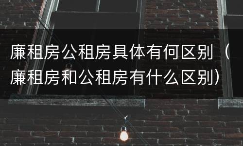 廉租房公租房具体有何区别（廉租房和公租房有什么区别）