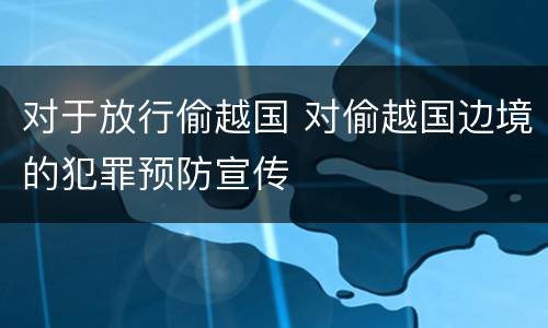 对于放行偷越国 对偷越国边境的犯罪预防宣传