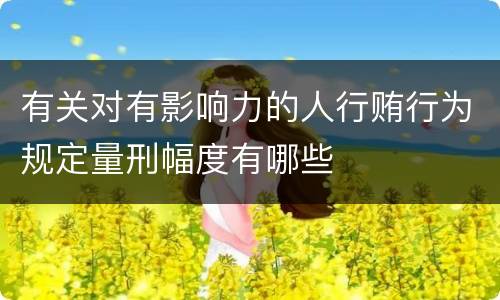 有关对有影响力的人行贿行为规定量刑幅度有哪些