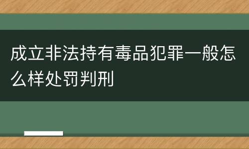 成立非法持有毒品犯罪一般怎么样处罚判刑