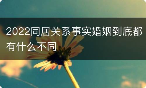 2022同居关系事实婚姻到底都有什么不同