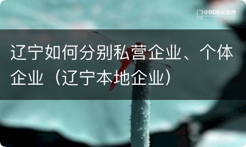 辽宁如何分别私营企业、个体企业（辽宁本地企业）