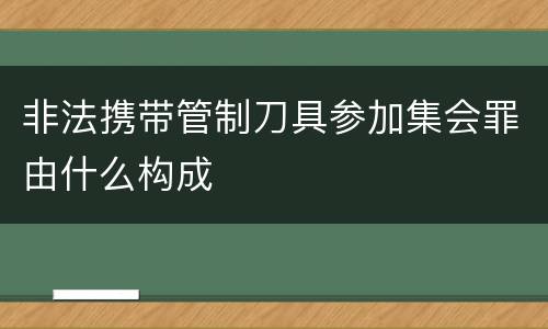 非法携带管制刀具参加集会罪由什么构成