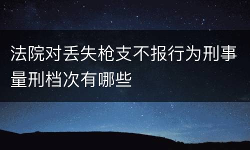 法院对丢失枪支不报行为刑事量刑档次有哪些