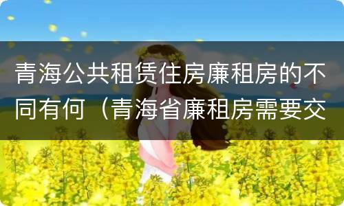 青海公共租赁住房廉租房的不同有何（青海省廉租房需要交多少钱）