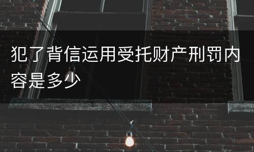 犯了背信运用受托财产刑罚内容是多少