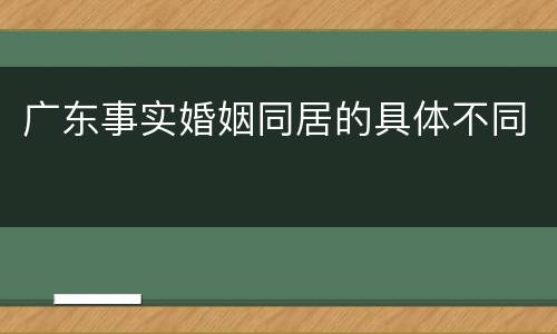 广东事实婚姻同居的具体不同