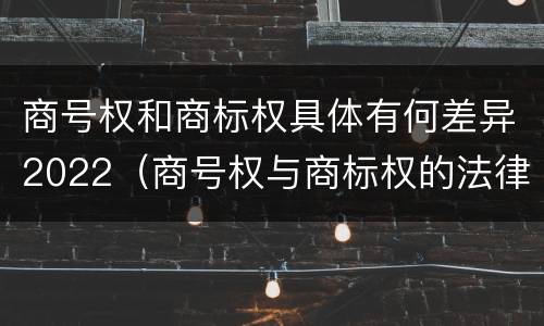 商号权和商标权具体有何差异2022（商号权与商标权的法律冲突与解决）