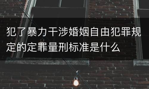 犯了暴力干涉婚姻自由犯罪规定的定罪量刑标准是什么