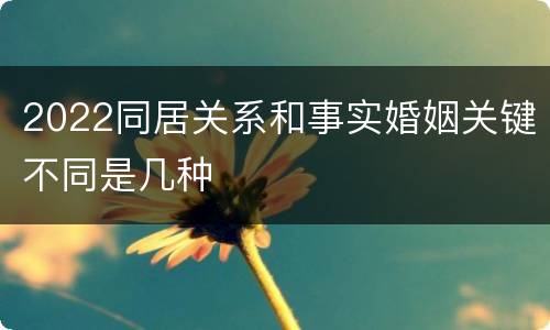 2022同居关系和事实婚姻关键不同是几种