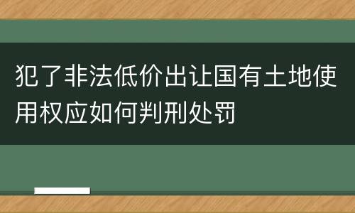犯了非法低价出让国有土地使用权应如何判刑处罚
