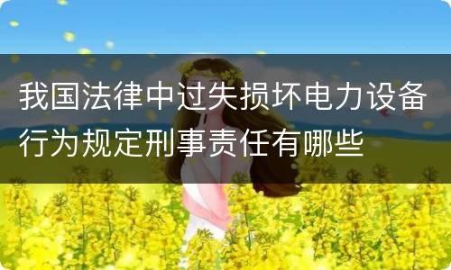 我国法律中过失损坏电力设备行为规定刑事责任有哪些