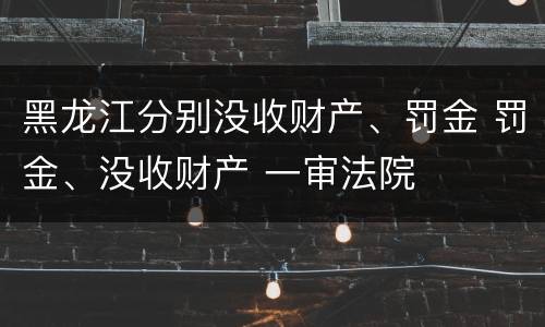 黑龙江分别没收财产、罚金 罚金、没收财产 一审法院