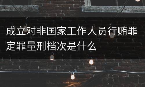 成立对非国家工作人员行贿罪定罪量刑档次是什么