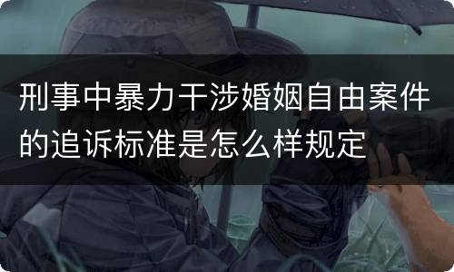刑事中暴力干涉婚姻自由案件的追诉标准是怎么样规定