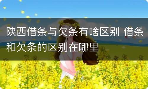 陕西借条与欠条有啥区别 借条和欠条的区别在哪里