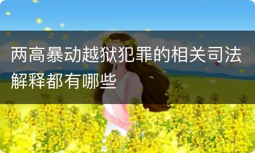 两高暴动越狱犯罪的相关司法解释都有哪些