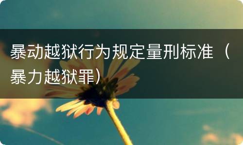 暴动越狱行为规定量刑标准（暴力越狱罪）