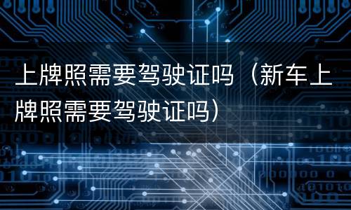 上牌照需要驾驶证吗（新车上牌照需要驾驶证吗）