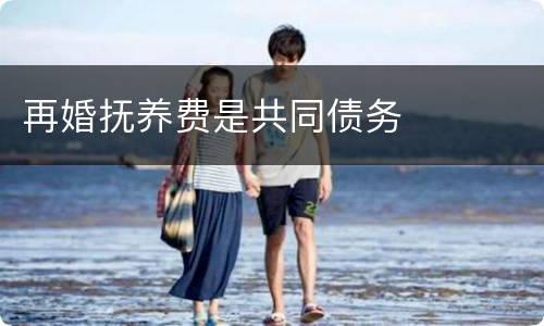 再婚抚养费是共同债务