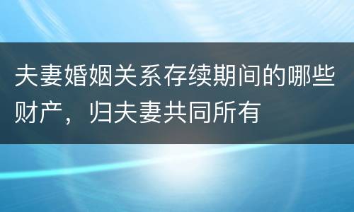 夫妻婚姻关系存续期间的哪些财产，归夫妻共同所有