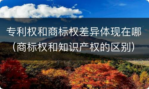 专利权和商标权差异体现在哪（商标权和知识产权的区别）