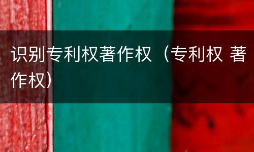 识别专利权著作权（专利权 著作权）