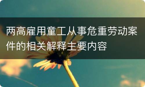两高雇用童工从事危重劳动案件的相关解释主要内容
