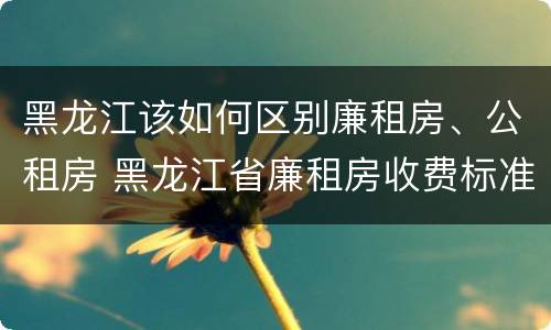 黑龙江该如何区别廉租房、公租房 黑龙江省廉租房收费标准是多少