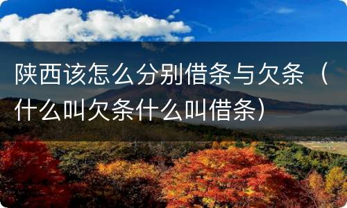 陕西该怎么分别借条与欠条（什么叫欠条什么叫借条）
