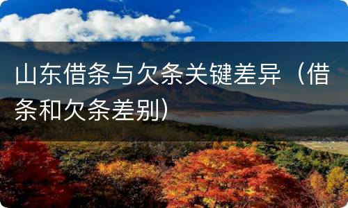 山东借条与欠条关键差异（借条和欠条差别）