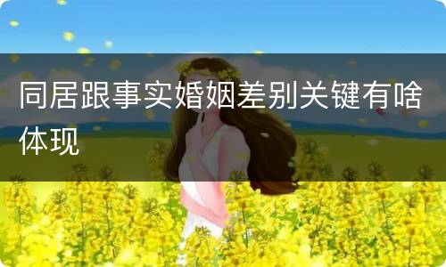 同居跟事实婚姻差别关键有啥体现