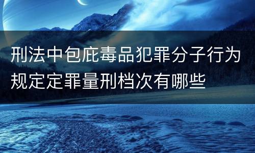 刑法中包庇毒品犯罪分子行为规定定罪量刑档次有哪些