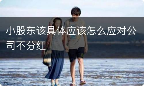 小股东该具体应该怎么应对公司不分红