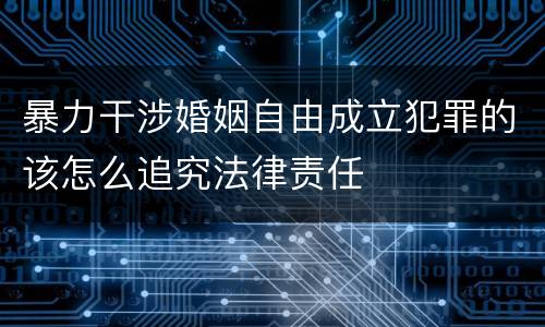 暴力干涉婚姻自由成立犯罪的该怎么追究法律责任
