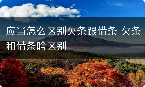 应当怎么区别欠条跟借条 欠条和借条啥区别