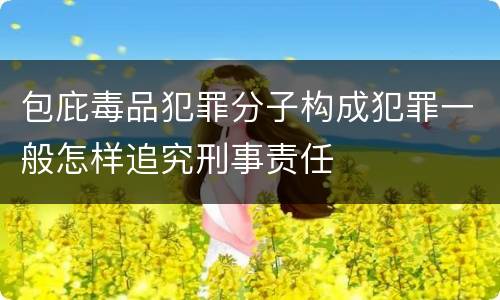 包庇毒品犯罪分子构成犯罪一般怎样追究刑事责任