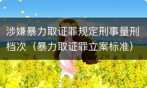 涉嫌暴力取证罪规定刑事量刑档次（暴力取证罪立案标准）