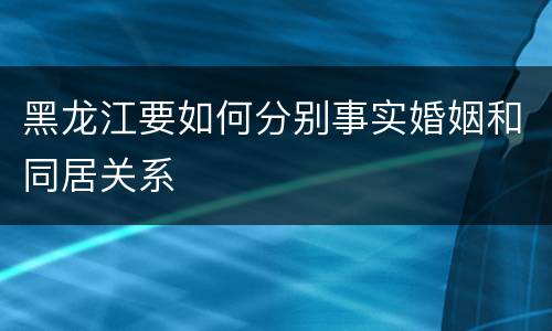 黑龙江要如何分别事实婚姻和同居关系