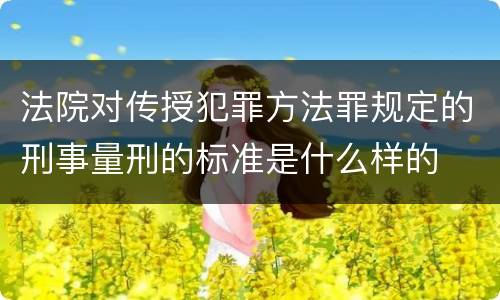 法院对传授犯罪方法罪规定的刑事量刑的标准是什么样的