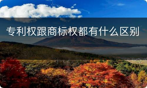 专利权跟商标权都有什么区别