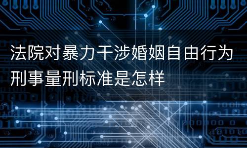 法院对暴力干涉婚姻自由行为刑事量刑标准是怎样