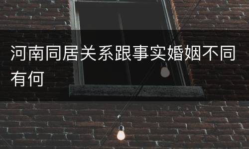 河南同居关系跟事实婚姻不同有何