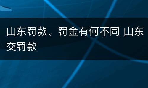 山东罚款、罚金有何不同 山东交罚款