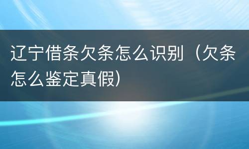 辽宁借条欠条怎么识别（欠条怎么鉴定真假）