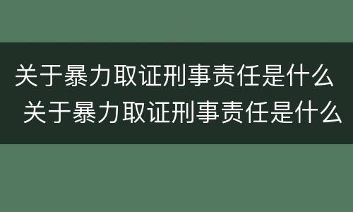 关于暴力取证刑事责任是什么 关于暴力取证刑事责任是什么法律