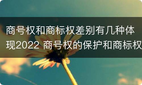 商号权和商标权差别有几种体现2022 商号权的保护和商标权的保护一样是全国性范围的