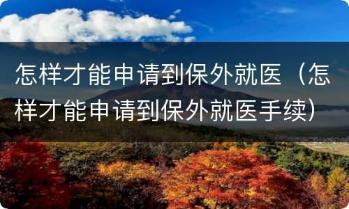 怎样才能申请到保外就医（怎样才能申请到保外就医手续）