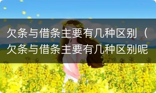 欠条与借条主要有几种区别（欠条与借条主要有几种区别呢）